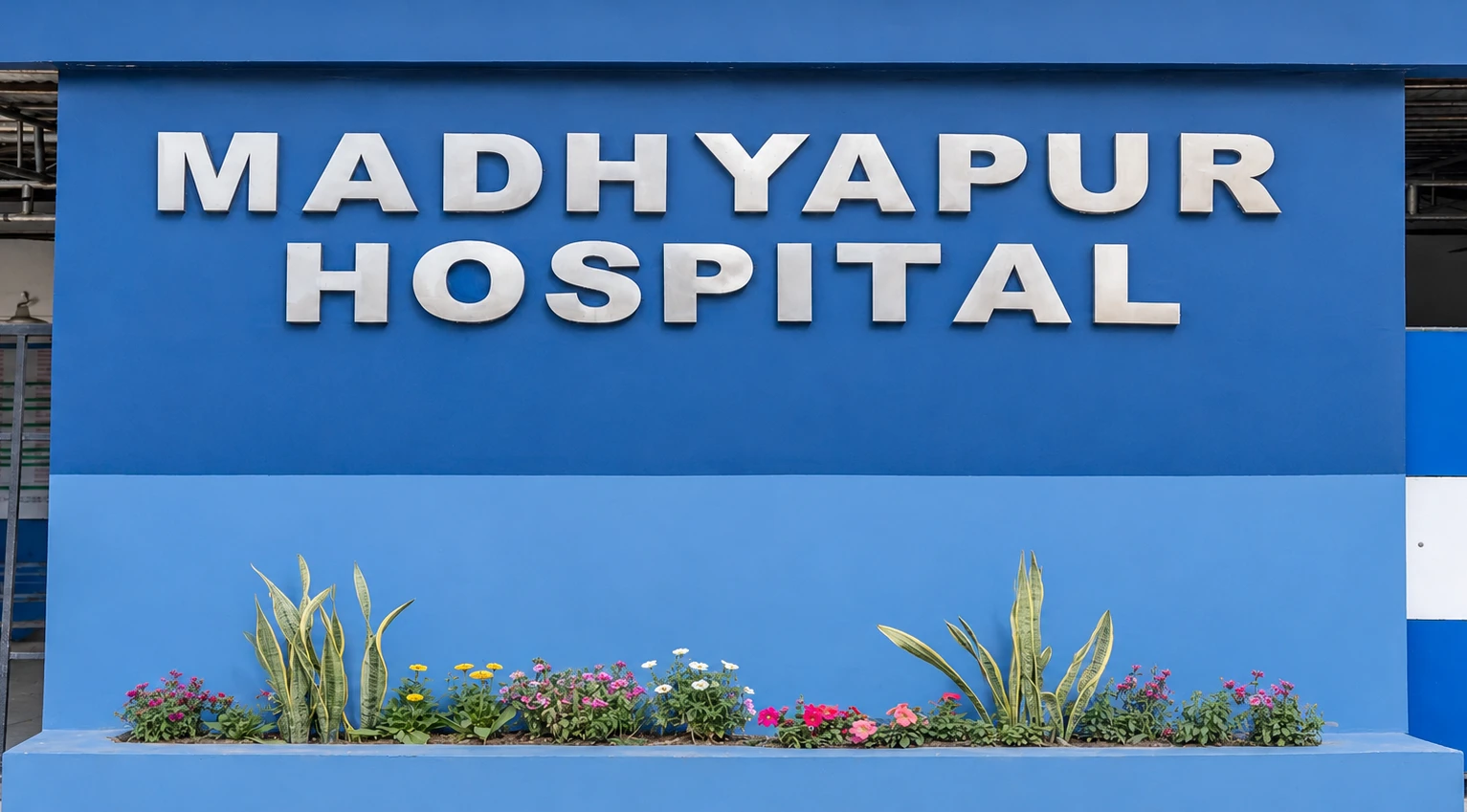 Healthcare Professional
